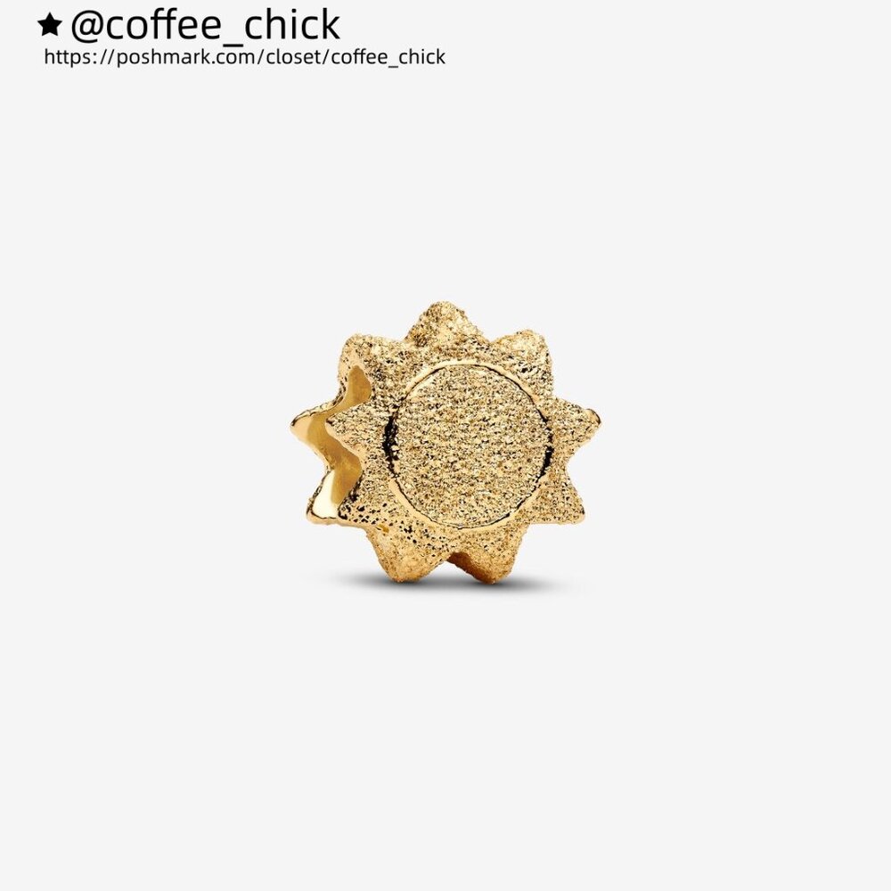 Pandora Textured Sun Mini Charm